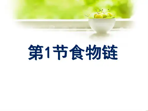食物链PPT课件12