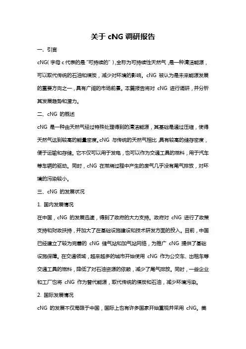 关于cNG调研报告