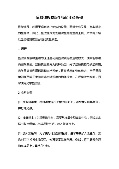 显微镜观察微生物的实验原理