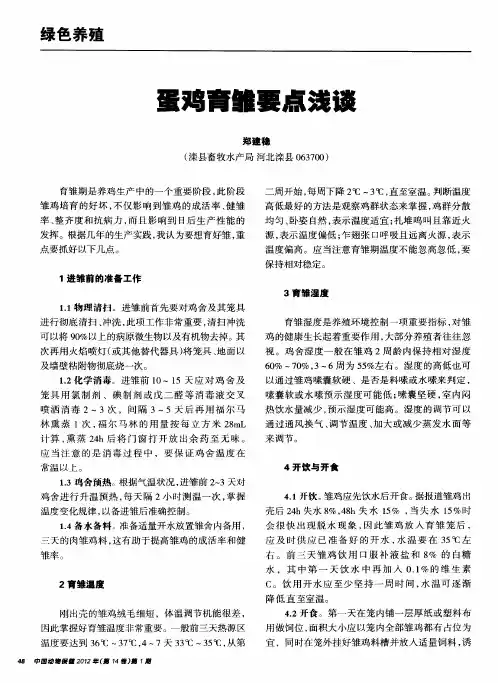 蛋鸡育雏要点浅谈