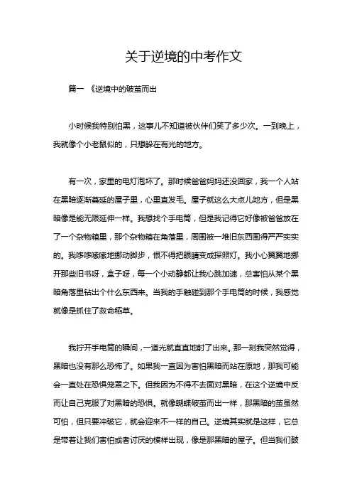 关于逆境的中考作文
