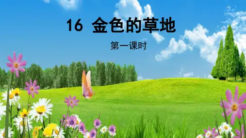 统编版三年级语文上册16《金色的草地》第一课时课件(共15张PPT)