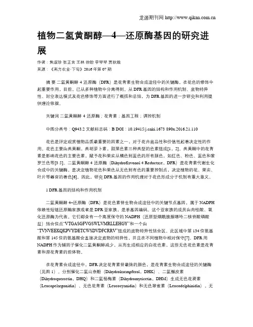 植物二氢黄酮醇—4—还原酶基因的研究进展