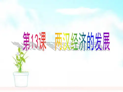 人教版2018-2019七年级历史上册第13课两汉经济的发展 (1)ppt课件