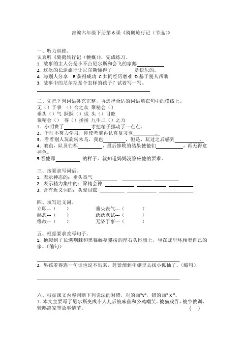 6《骑鹅旅行记(节选)》(同步练习)部编版语文六年级下册