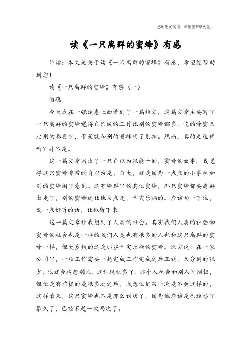 读《一只离群的蜜蜂》有感