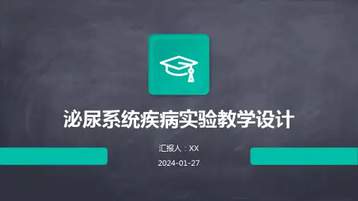 泌尿系统疾病实验教学设计