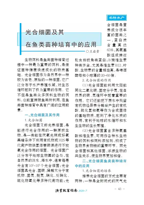 光合细菌及其在鱼类苗种培育中的应用