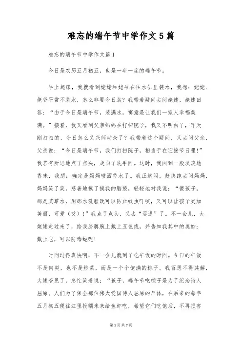 难忘的端午节初中作文5篇