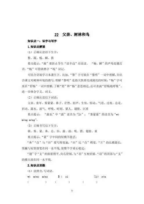 三年级上册语文23 父亲树林和鸟(含答案)