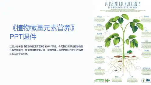 《植物微量元素营养》课件