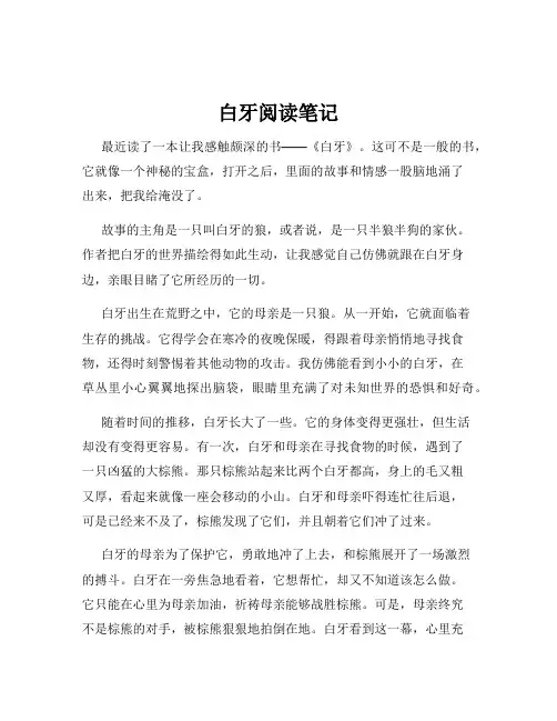 白牙阅读笔记