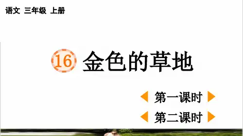 统编版语文三年级上册第五单元第16课《金色的草地》课件