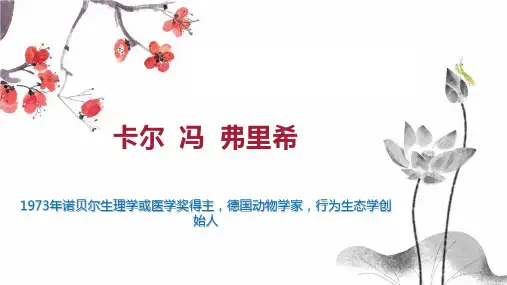 卡尔 冯 弗里希