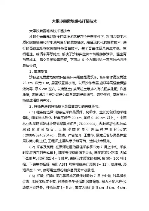 大果沙棘露地嫩枝扦插技术