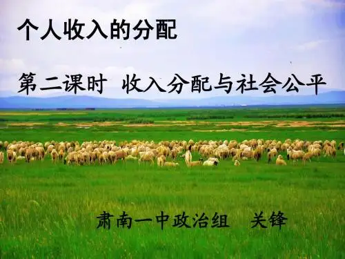 收入分配与社会公平——优质课