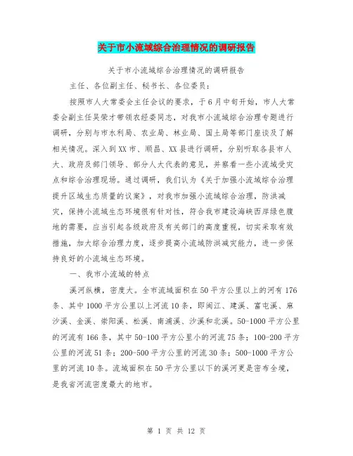 关于市小流域综合治理情况的调研报告【可编辑版】