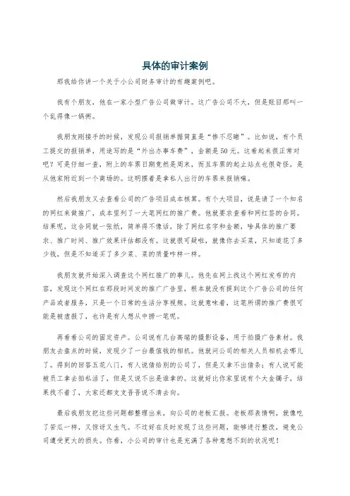 具体的审计案例
