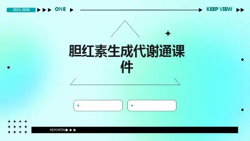 胆红素的生成代谢通用课件