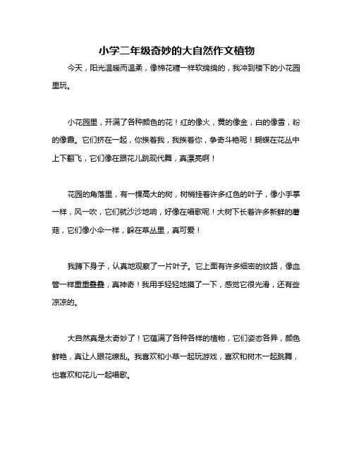 小学二年级奇妙的大自然作文植物