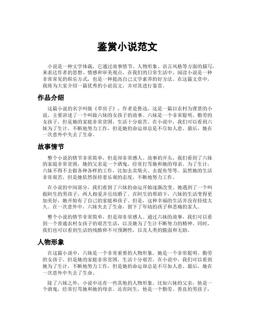 鉴赏小说范文
