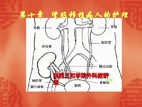 肾移植的护理PPT课件