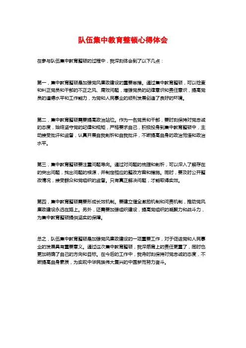 队伍集中教育整顿心得体会