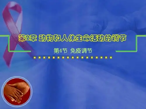 免疫调节说课-参赛