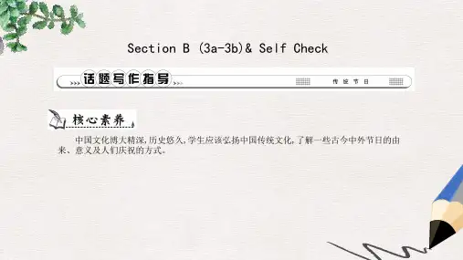 九年级英语全册 Unit 2 I think that mooncakes are delicious Section B(3a-3b)