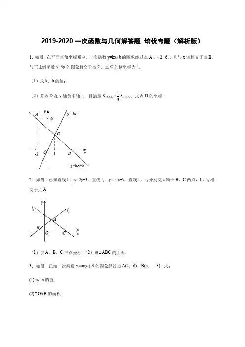 北师大版八年级上册一次函数与几何解答题 培优专题(解析版)