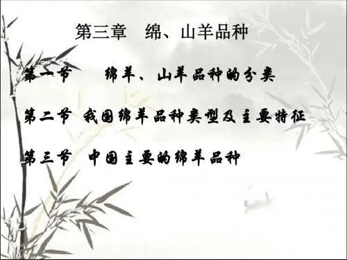 绵、山羊品种 PPT课件