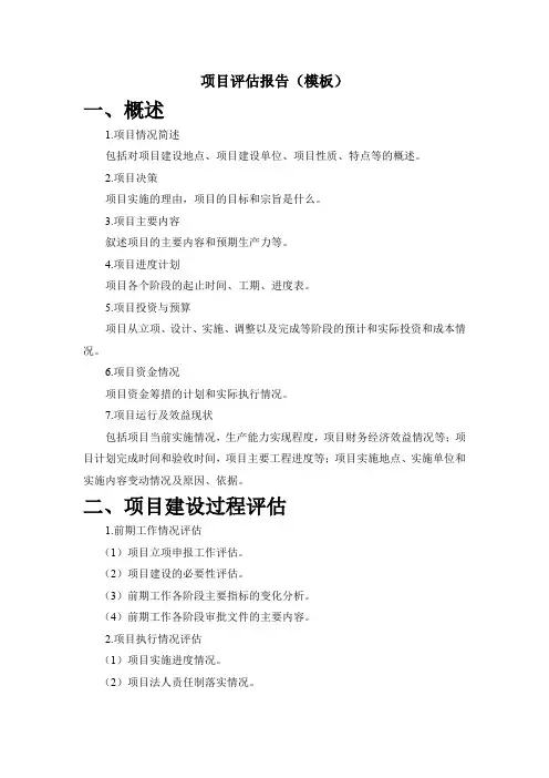 项目评估报告模板