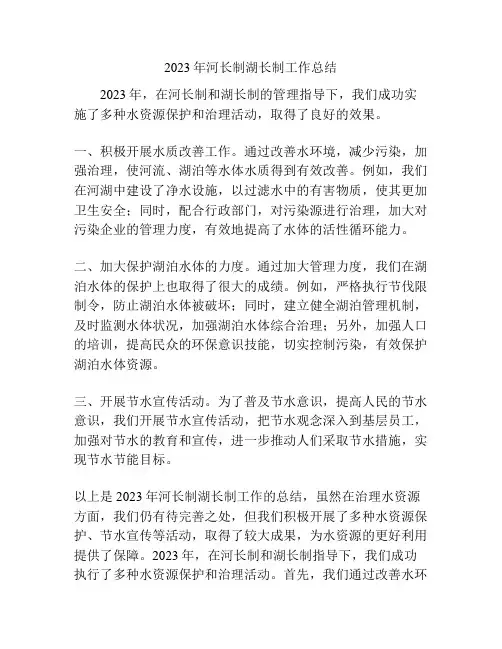 2023年河长制湖长制工作总结