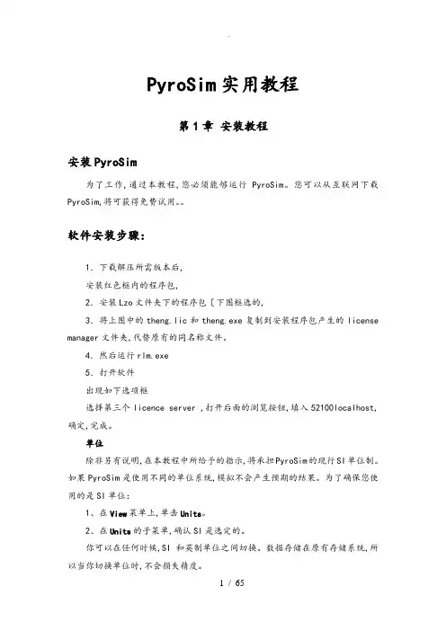 PyroSiM实例教程