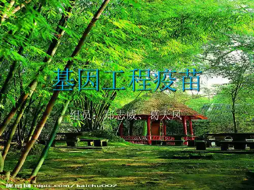 基因工程疫苗讲解