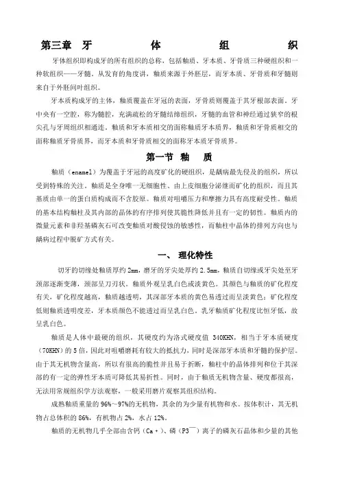 牙体组织