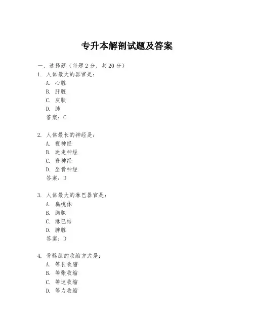 专升本解剖试题及答案