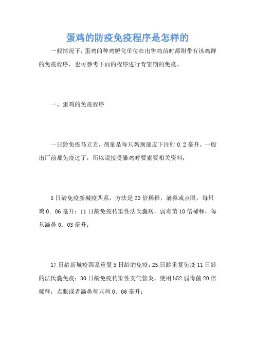 蛋鸡的防疫免疫程序是怎样的