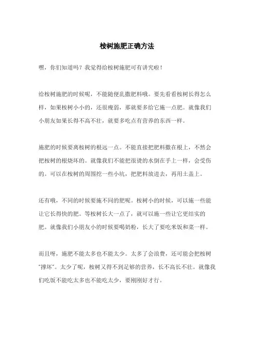 桉树施肥正确方法