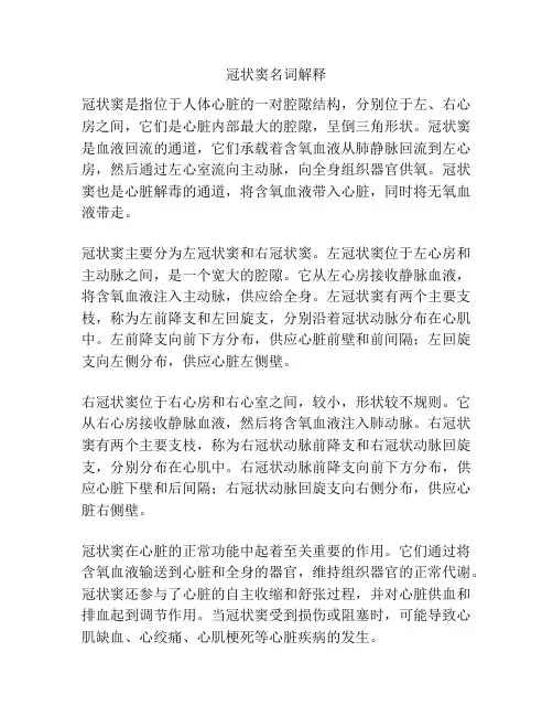 冠状窦名词解释