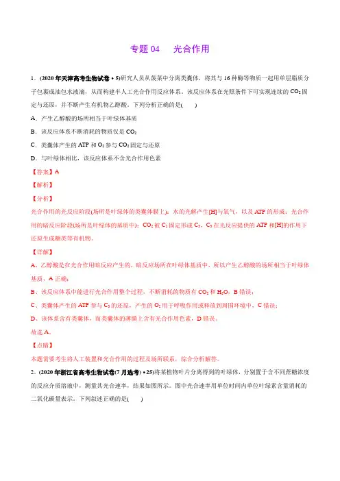 专题04 光合作用-高考真题和模拟题生物分项汇编(教师版含解析)