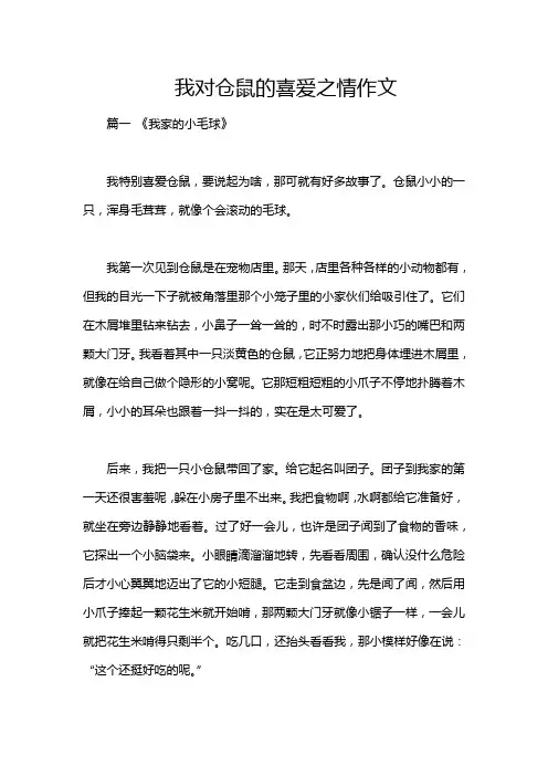我对仓鼠的喜爱之情作文