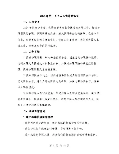 2024年护士长个人工作计划范文(五篇)