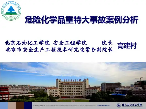 危险化学品重特大事故案例分析