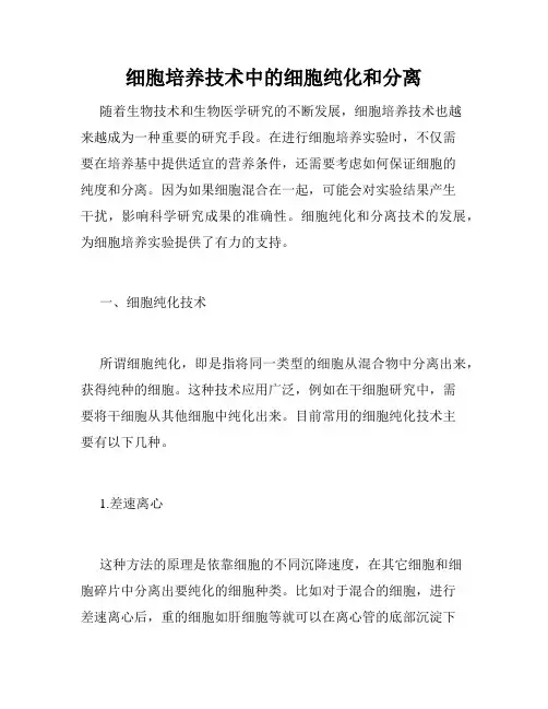 细胞培养技术中的细胞纯化和分离