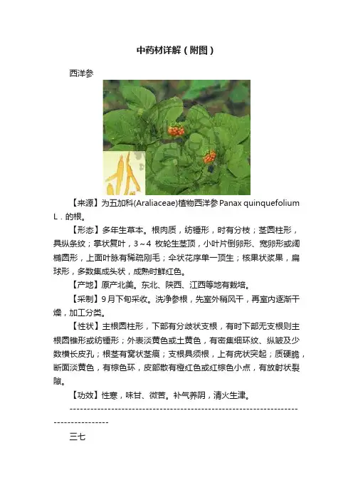 中药材详解（附图）