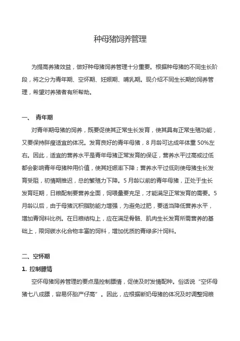 种母猪饲养管理