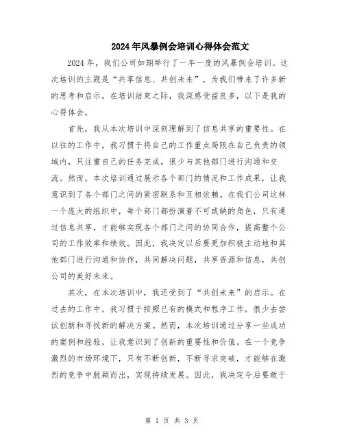 2024年风暴例会培训心得体会范文