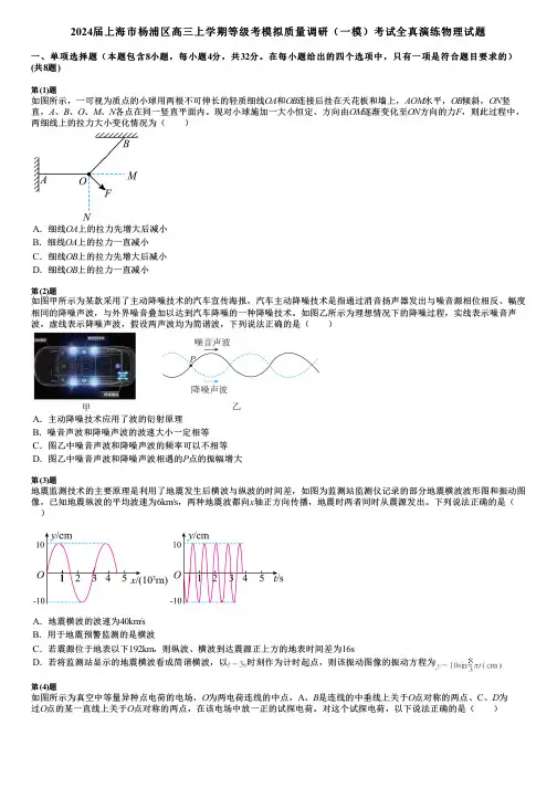 2024届上海市杨浦区高三上学期等级考模拟质量调研(一模)考试全真演练物理试题