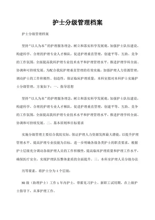 护士分级管理档案